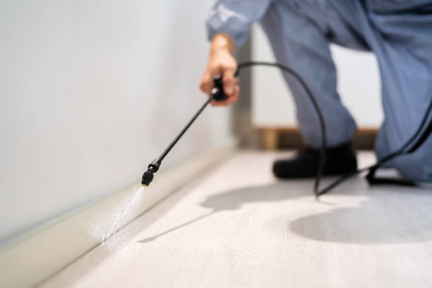 Licensed Pest Control service in Holly Lake Ranch, TX - Show Me Pest Control