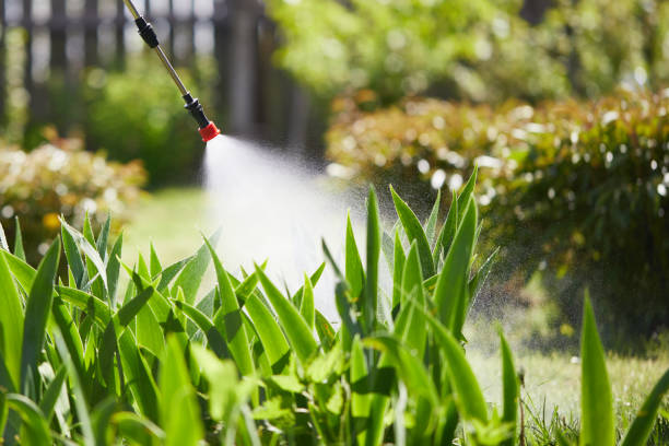 Tamper-Resistant Bait Stations for Rodents in Holly Lake Ranch