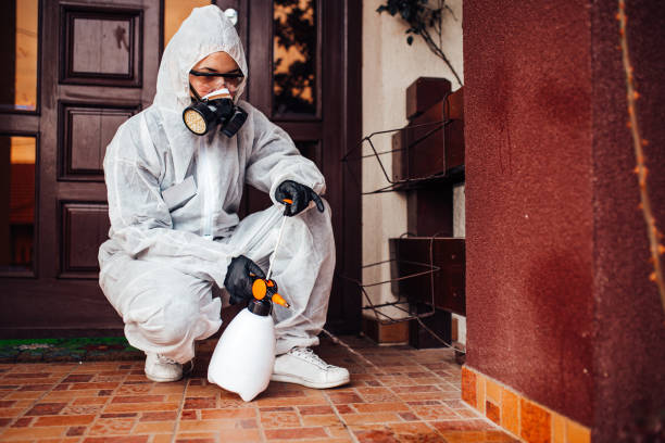 Attic and Crawl Space Rodent Treatment in Holly Lake Ranch