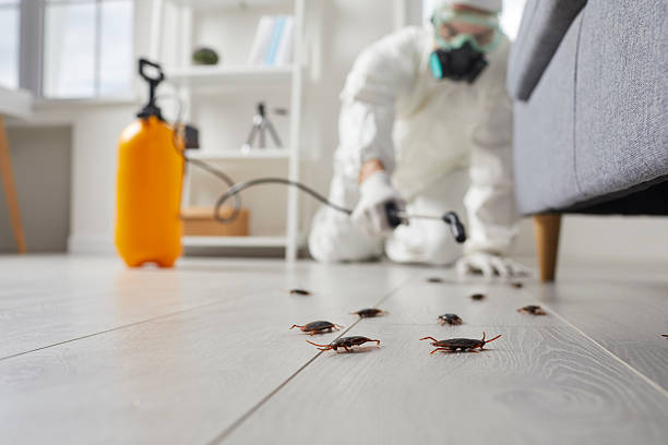 Commercial Rodent Management in Holly Lake Ranch